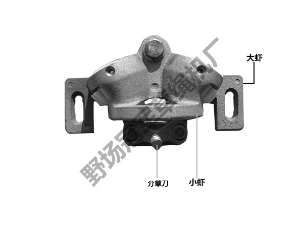 大小蝦